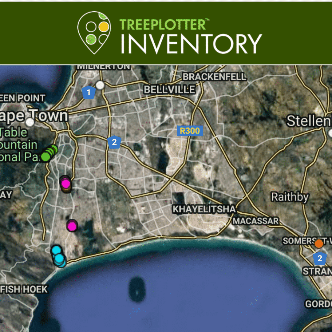 Screenshot of TreePlotter INVENTORY: urban forestry software from PlanIT Geo