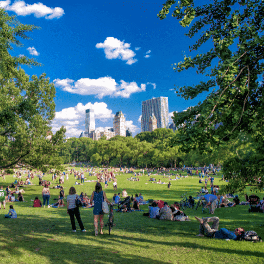 Modern Tools for Managing Urban PARKS