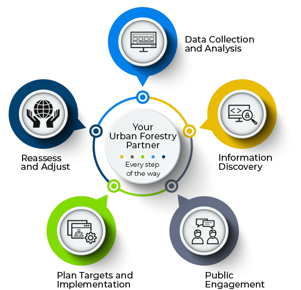 urban forestry consulting