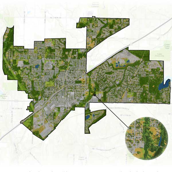 GIS image showing the importance of a quality urban tree canopy assessment