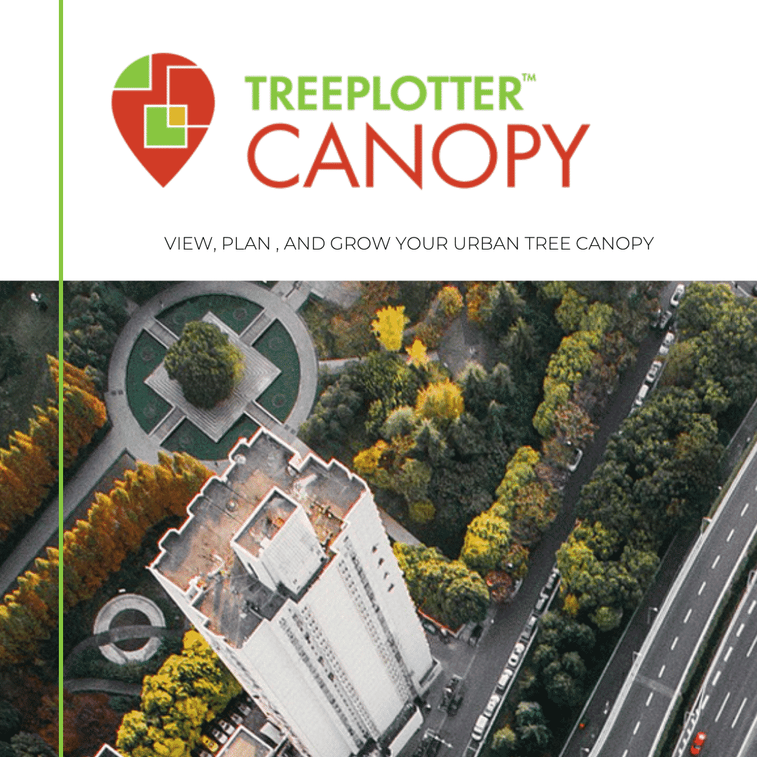 TREENET Incorporated on LinkedIn: #streettreetrials #canopycover  #streettree #urbanforest