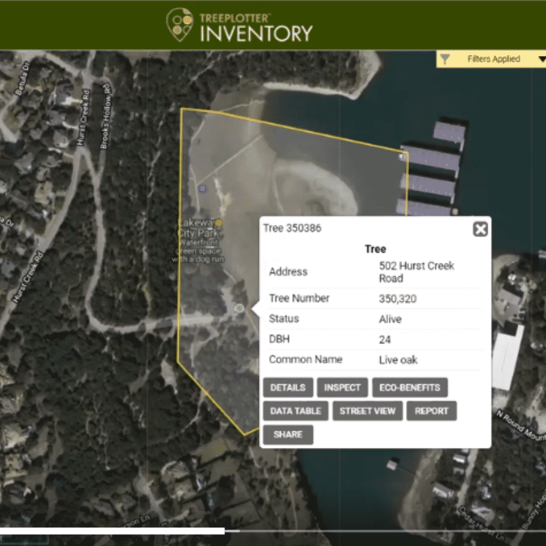 Non-Invasive Tree Risk Assessment Technologies | PlanIT Geo™