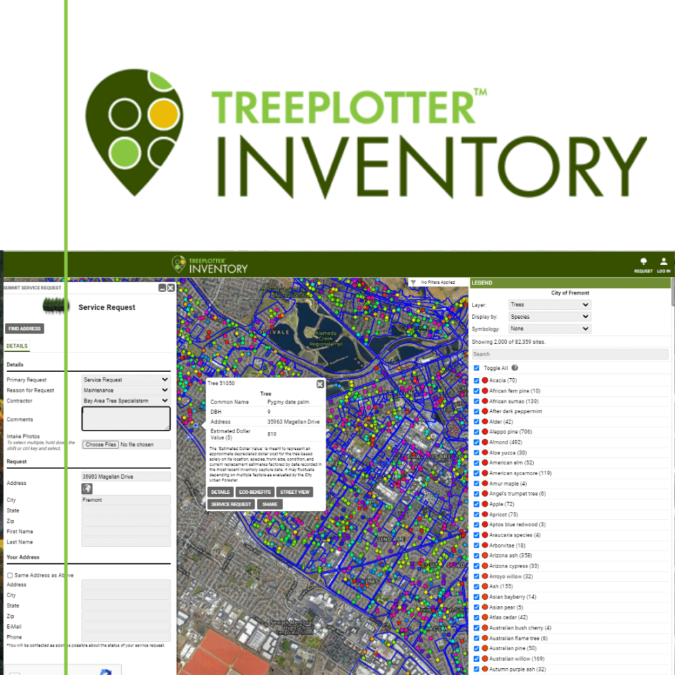 Tips for Planning An Urban Tree Inventory And Getting The Most Out Of ...