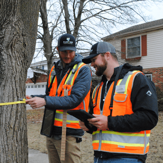 Tips for Planning An Urban Tree Inventory And Getting The Most Out Of It