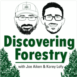 Podcast : Discovering Forestry with Ian Hanou