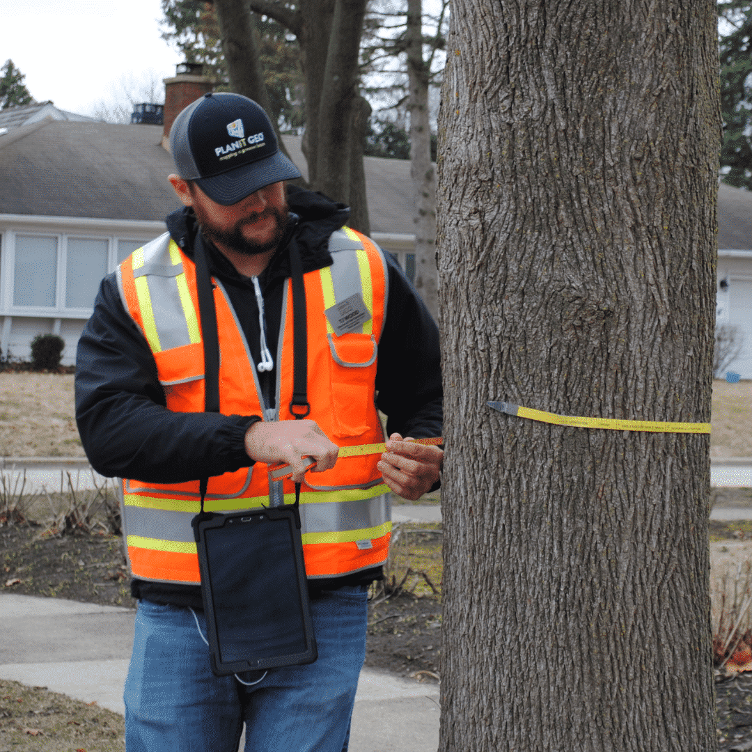 Tree Inventory vs Tree Canopy Assessment: What's the Difference ?