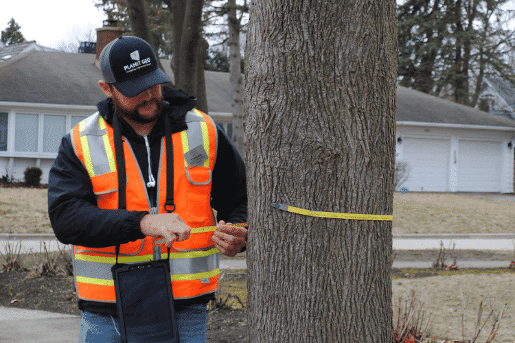 Learn the difference between a tree inventory and a tree canopy assessment in this blog post from PlanIT Geo