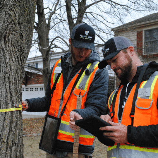 tree inventories vs tree canopy assessments