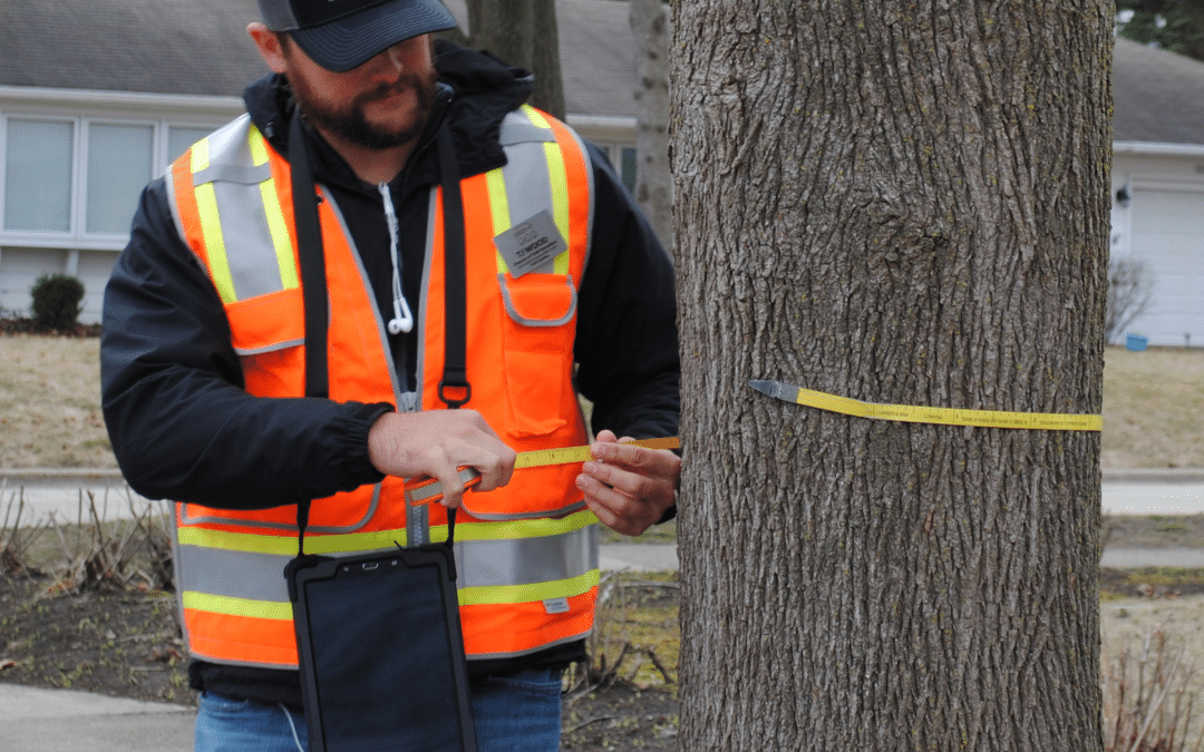 Tree Inventory vs Tree Canopy Assessment: Webinar