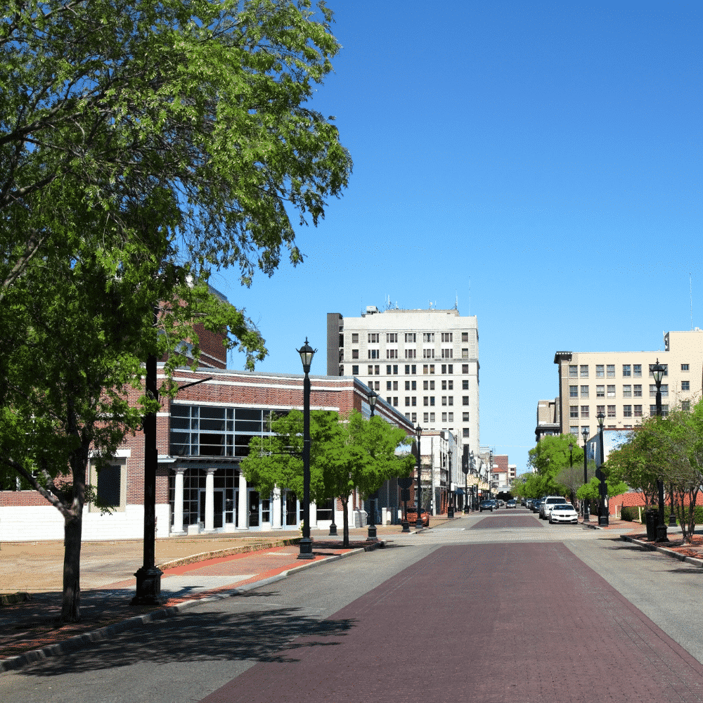 Urban Forest Management Plan: Alexandria, LA, USA | PlanIT Geo™