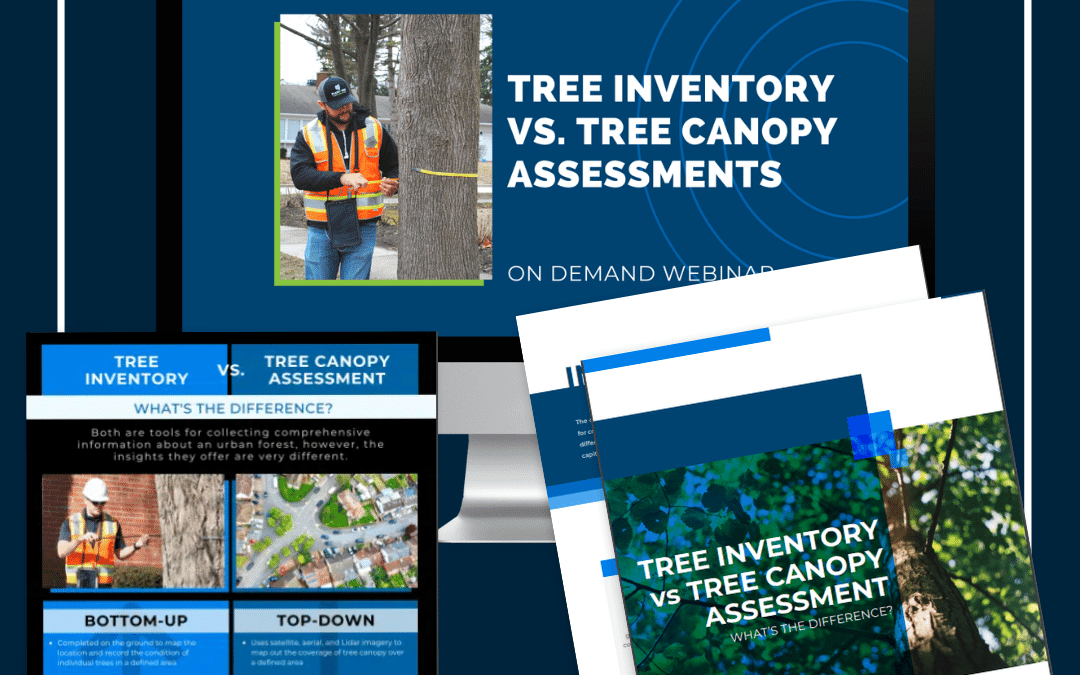 Tree Inventory VS Tree Canopy Assessments Content Collection