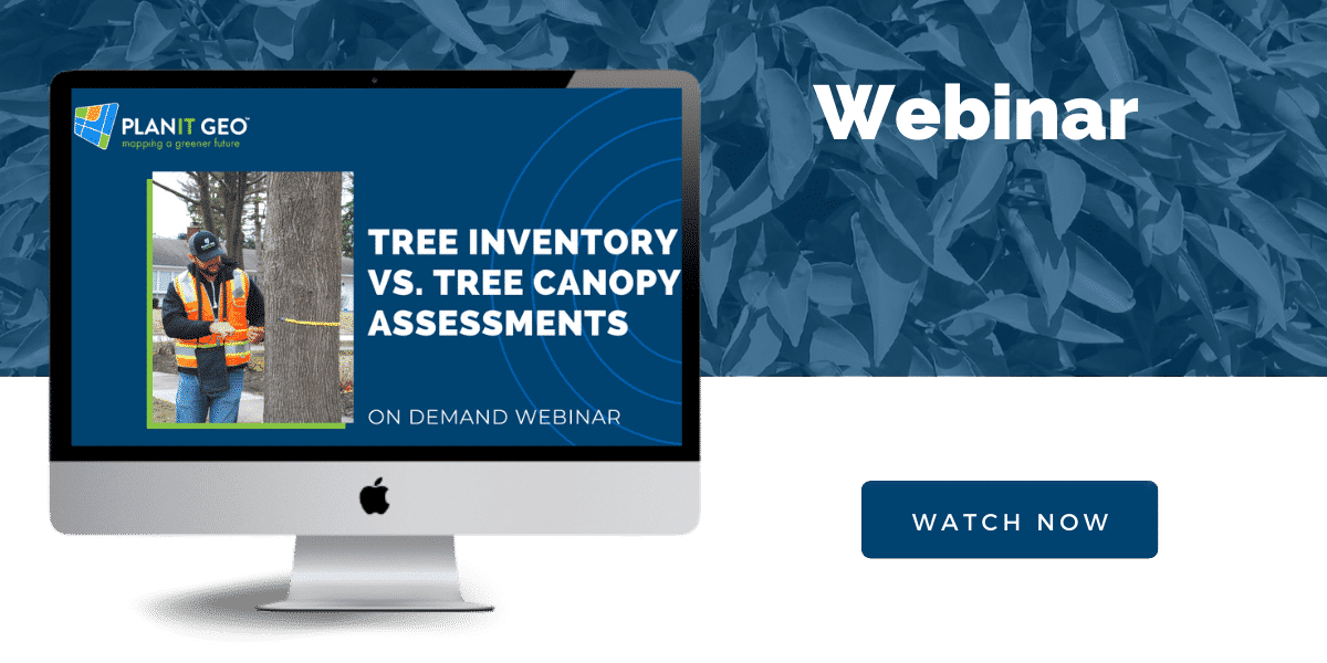 The distinction between tree inventories and tree canopy assessments can sometimes be confusing. Both are tools for collecting comprehensive information about an urban forest. However, the insights they offer are very different.