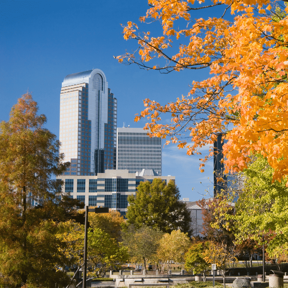 Charlotte's urban forest has our attention and it should have yours too.