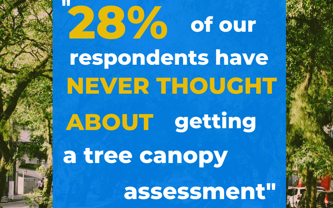 Surveying Cities on Tree Canopy Assessments