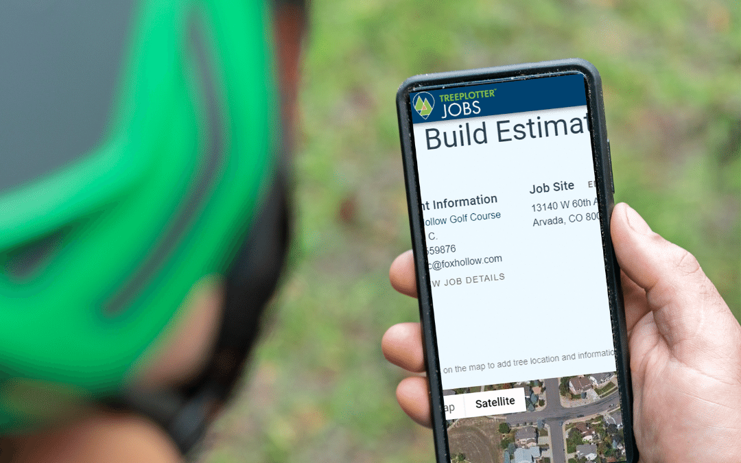 4 Steps To Enhance Your Tree Care Workflow with Software