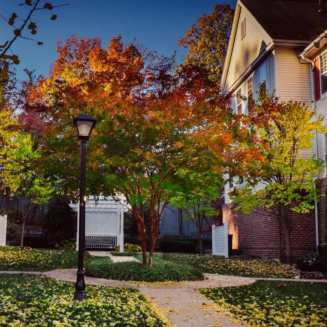 Charlottesville Tree Canopy Assessment PlanIT Geo™