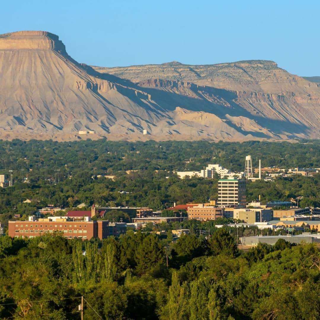 Grand Junction Tree Canopy Assessment PlanIT Geo™