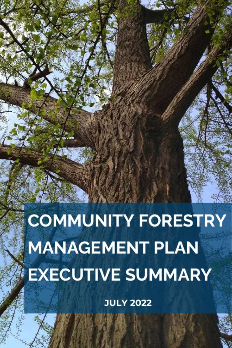Schenectady, New York Community Forest Management Plan Executive Summary