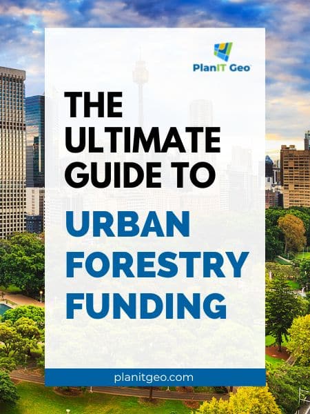 The Ultimate guide to urban forestry funding sources