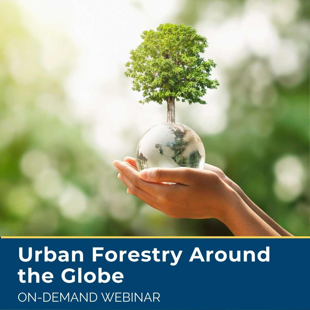 Urban Forestry Around the Globe Webinar with the world's leading urban forestry professionals