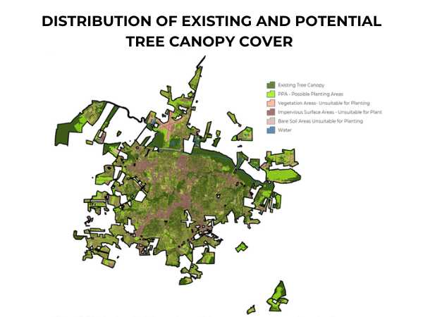Distribution of existing and potential tree canopy cover in Greenville NC