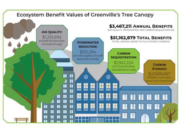 Ecosystem Benefits Values of Greenville's Tree Canopy
