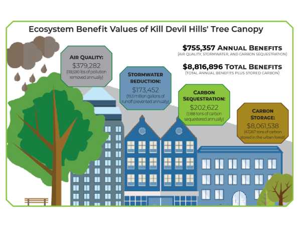 Ecosystem benefits of Kill Devil Hills Tree Canopy