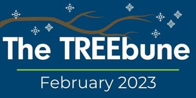 Treebune February 2023