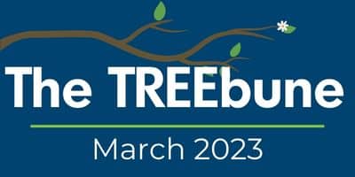 TREEbune March 2023