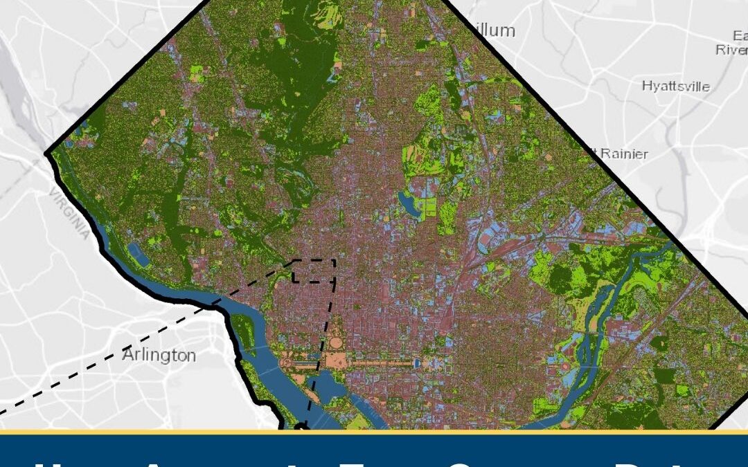 How Accurate Tree Canopy Data Got Faster and More Affordable