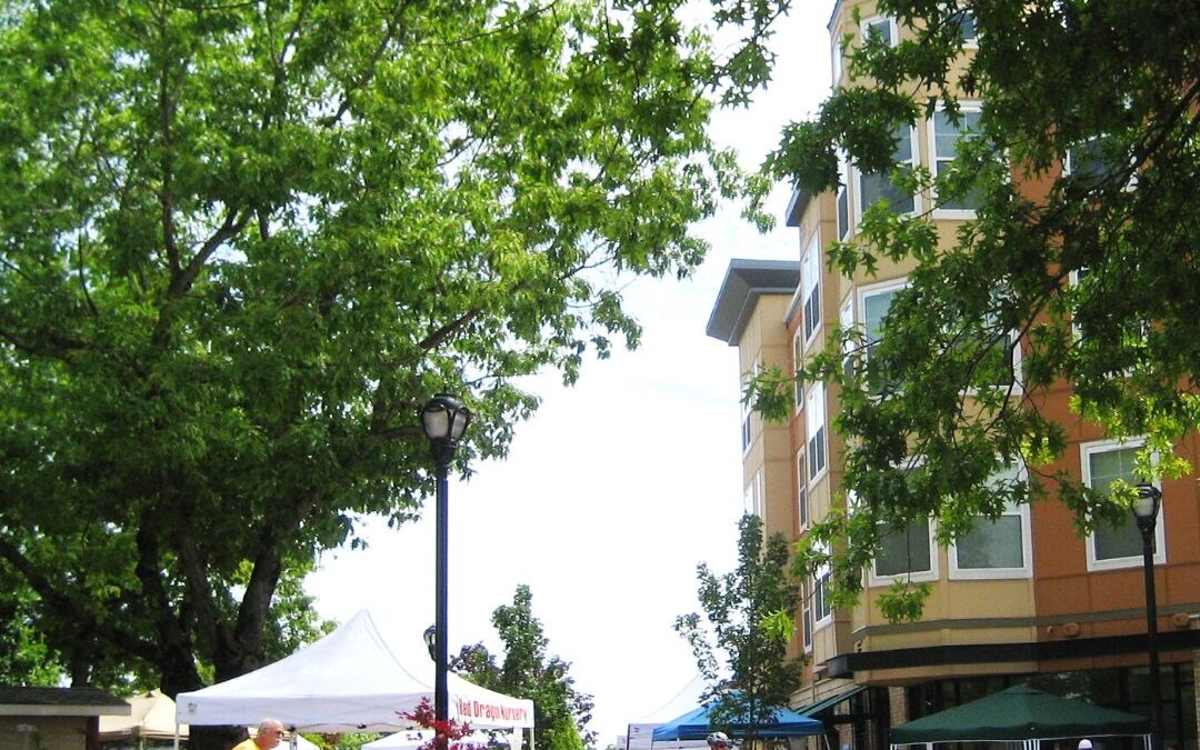 Urban Tree Canopy Assessment: Wilsonville, Oregon, USA
