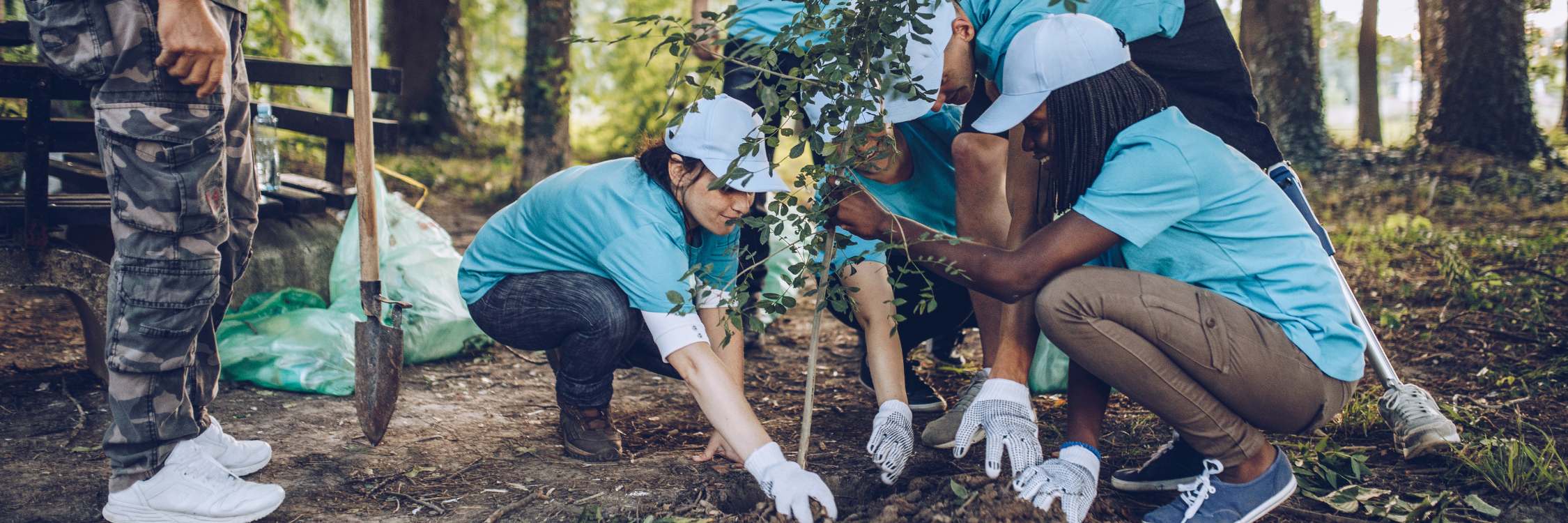 Youth Employment Programs and addressing the urban forestry labor shortage