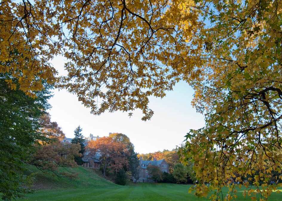Wellesley Massachusetts Urban Tree Canopy Assessment