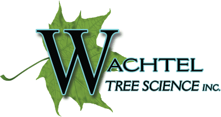 Wachtel Tree Science and Trees and Tech Summit