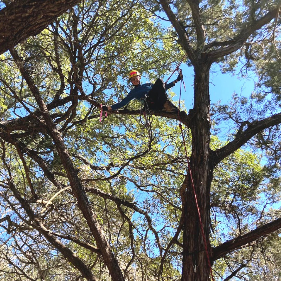 Bridging the Knowledge Gap_ Training and Gender Issues in Tree Climbing 