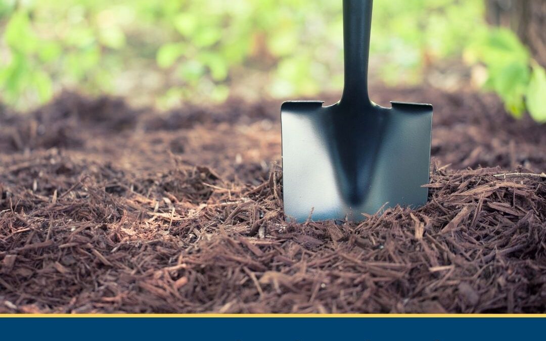 How to Prepare Shovel-Ready Projects to Maximize IRA Funding Opportunities