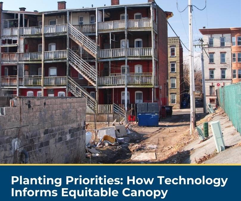 Planting Priorities: How Technology Informs Equitable Canopy