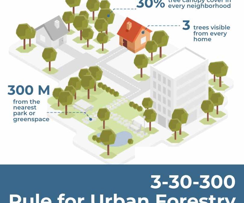 Urban Forestry’s New Benchmark: The 3-30-300 Rule