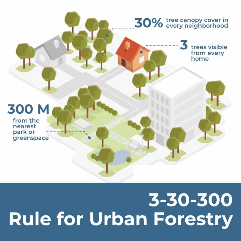 3 30 300 Rule for urban forestry