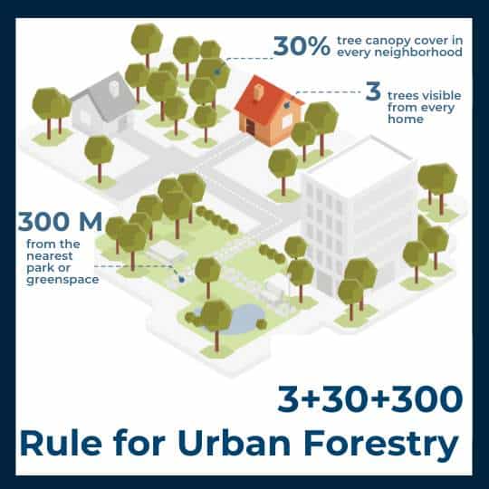 3+30+300 Rule for Urban Forestry