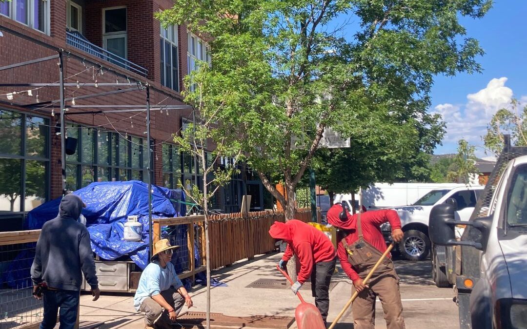 Case Study: Basalt’s Community Forest and TreePlotter