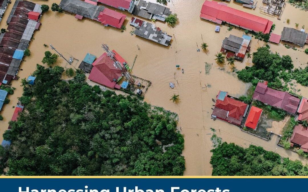 Harnessing Urban Forests for Natural Disaster Resilience