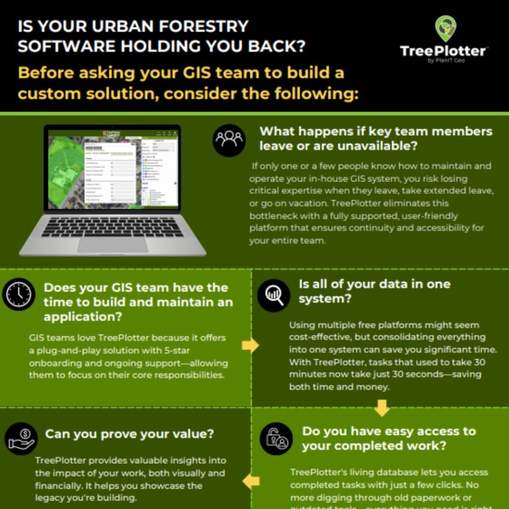 Urban Trees and Crime: Designing Safer, Greener Communities | PlanIT Geo™