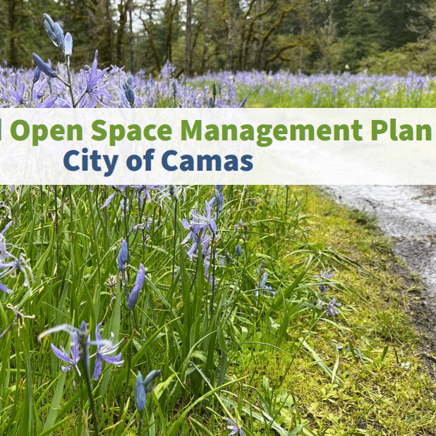 Camas, Washington, Parks and Open Space Management Plan
