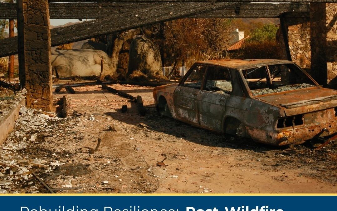 Rebuilding Resilience: Post-Wildfire Recovery Strategies for Urban Forests
