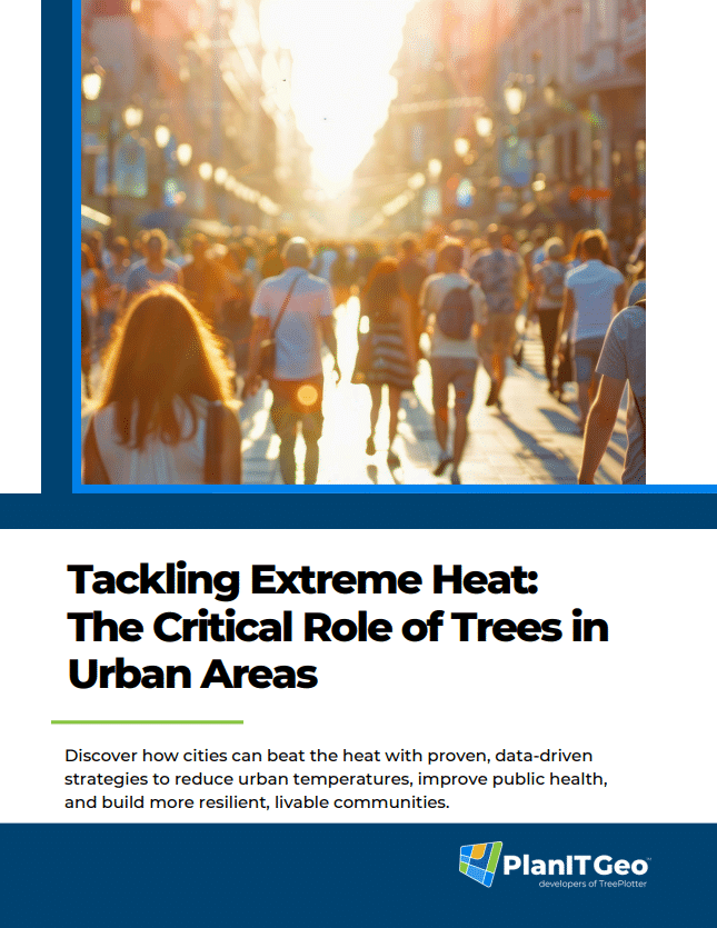 Tackling Extreme Heat: The Critical Role of Trees in Urban Areas eBook from PlanIT Geo
