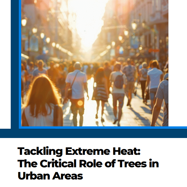 Tackling Extreme Heat The Critical Role of Trees in Urban Areas