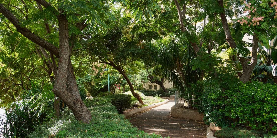 Urban Trees and Crime community sightlines