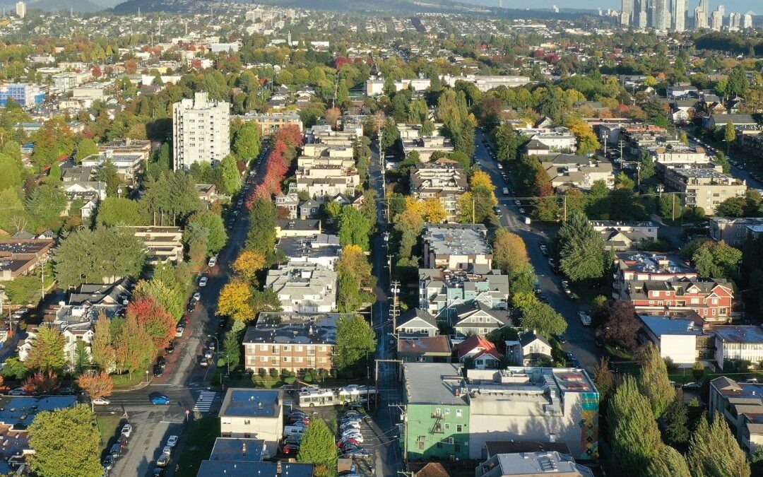 Urban Trees and Crime: Designing Safer, Greener Communities