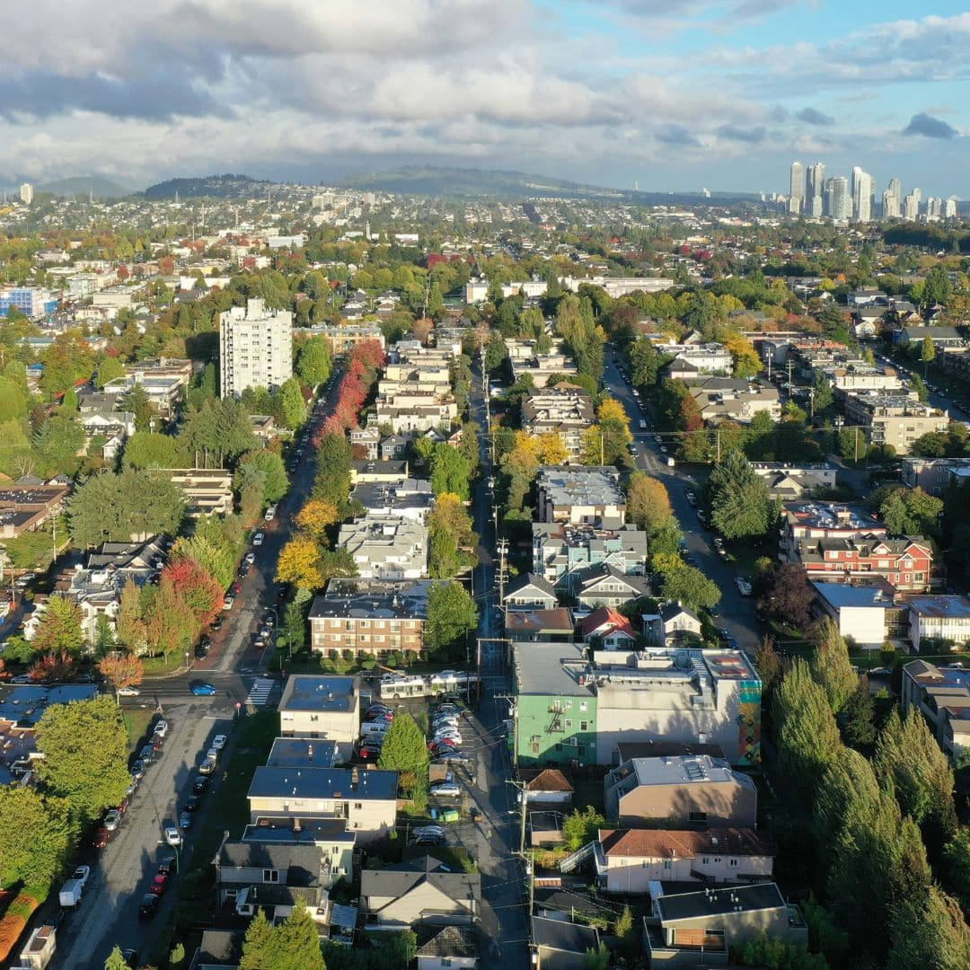 Thoughtful urban forestry and how community Investment can support safer neighbors